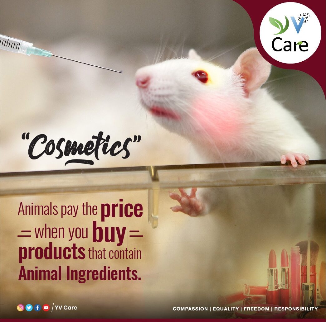 Animal testing in Cosmetics | YV CARE