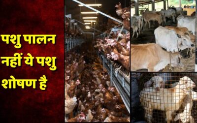 पशु पालन नहीं ये पशु शोषण है (2024) | Animal Husbandry in Hindi