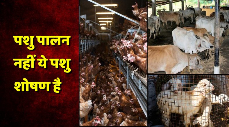 पशु पालन नहीं ये पशु शोषण है (2024) | Animal Husbandry in Hindi