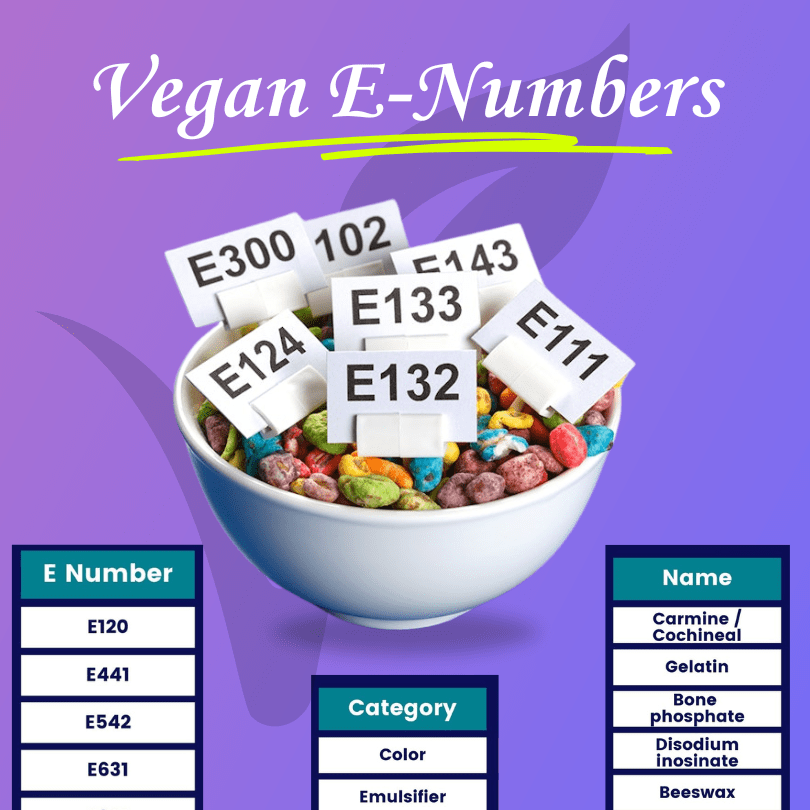 Explore Vegan E-Numbers 